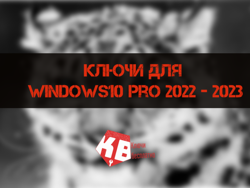 Ключи для Windows10 pro 2022 – 2023